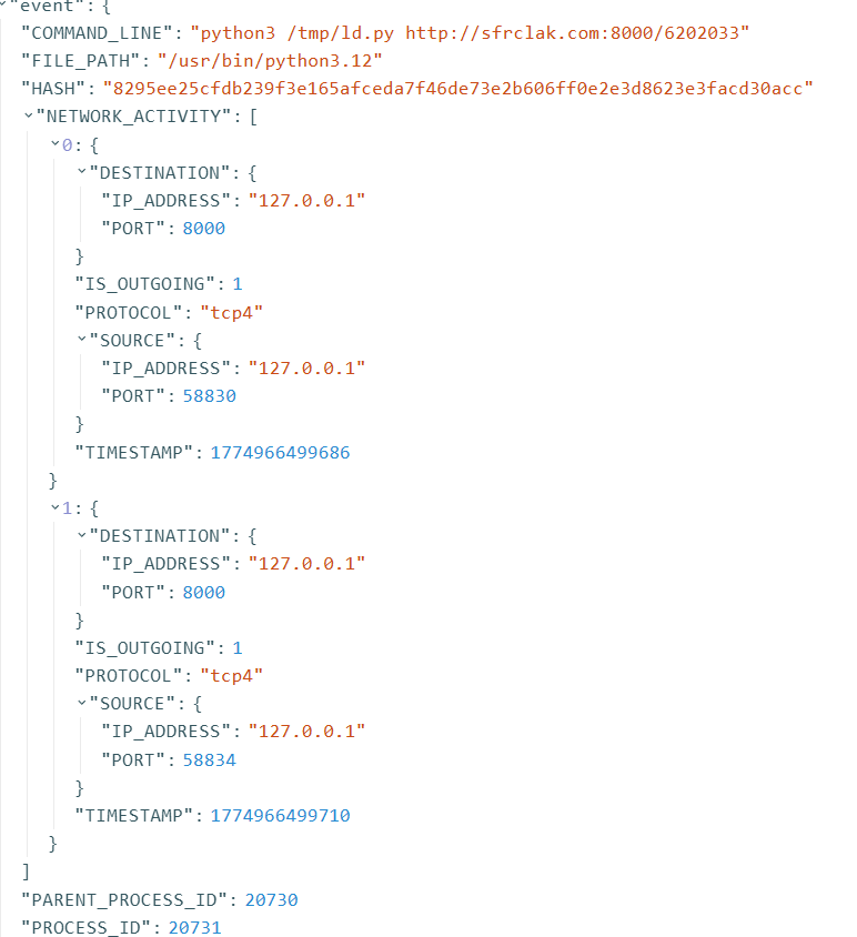 LimaCharlie NETWORK_CONNECTIONS event JSON for python3 /tmp/ld.py showing COMMAND_LINE, HASH, two NETWORK_ACTIVITY entries with DESTINATION 127.0.0.1:8000, IS_OUTGOING 1, tcp4 protocol, and timestamps 24ms apart
